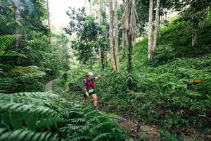 BIB: 
                            <button type="button" onclick="openModal(26408720)" class="btn btn-primary btn-sm float-right btn-popup" data-toggle="modal" data-target=".modal-high-quality">
                        <i class="fas fa-shopping-cart"></i> Add to Cart
                    </button>
                                            <button type="button" onclick="isThisMe(26408720, true)" class="btn btn-success btn-sm float-right btn-popup btn-isme hidden" data-toggle="tooltip" data-placement="bottom" title="นี่คือรูปของคุณใช่ไหม คลิกที่นี่เพื่อเอาเข้าอัลบั้ม">
                        <i class="fas fa-plus"></i> Add to album
                    </button>
                    <button type="button" onclick="isThisMe(26408720, false)" class="btn btn-warning btn-sm float-right btn-popup btn-isnotme hidden">
                        <i class="fas fa-ban"></i> Remove from album
                    </button>